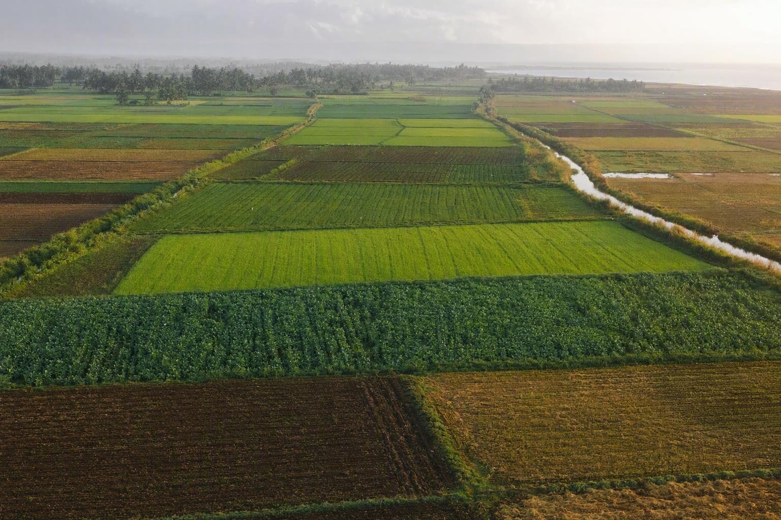 Aerial view of cultivated fields and irrigation channels in Tamil Nadu